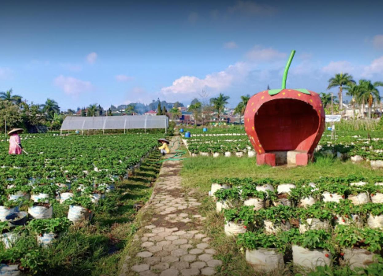 Villa Musti Green Apple Cipanas Sindanglaya Екстер'єр фото